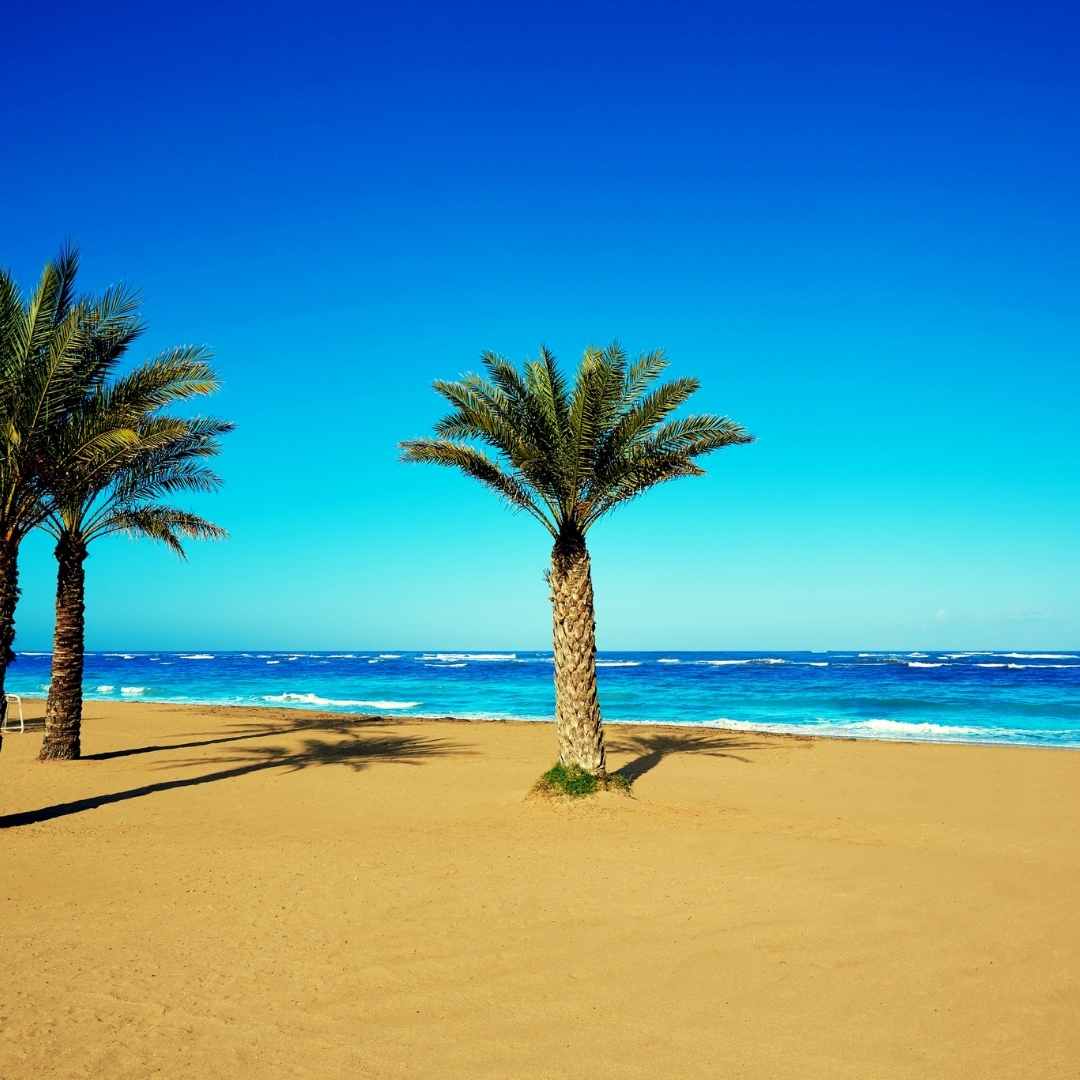 coaching spanien